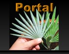 Portal